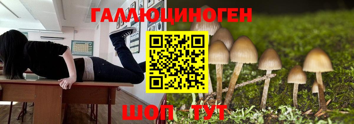Галлюциногенные грибы GOLDEN TEACHER  Вход с VPN  Нижнеудинск 